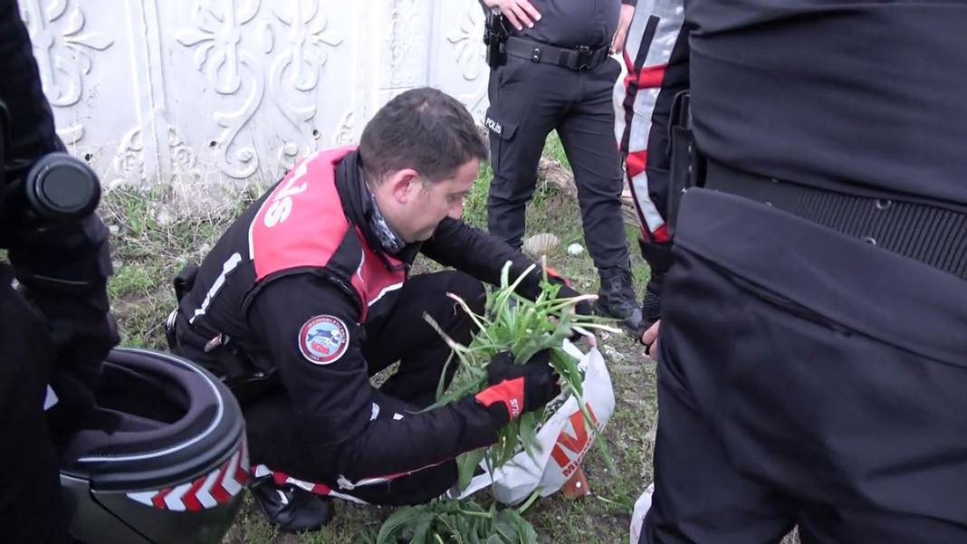 Poşetten çıkanlar, polisi bile şoke etti! Aranan şüpheli otluk alanda böyle yakalandı, ilk sözleri şaşırttı 4